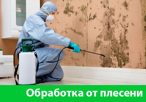 Обработка от плесени в городе Ангарск